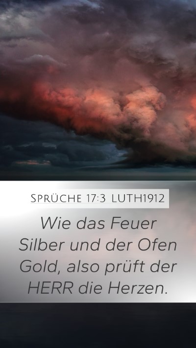 Sprüche 17:3 LUTH1912 Bible Verse Image