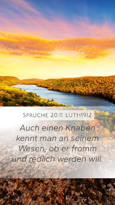 Sprüche 20:11 LUTH1912 Bible Verse Image