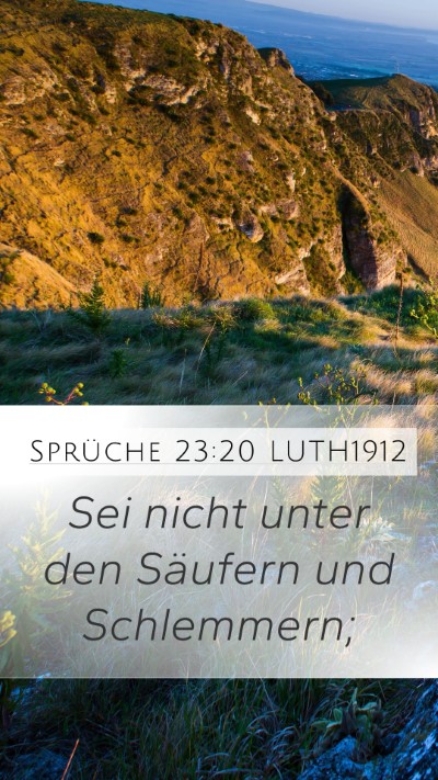 Sprüche 23:20 LUTH1912 Bible Verse Image