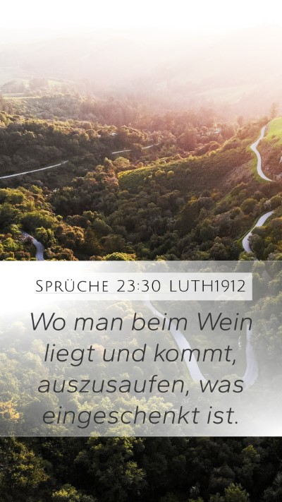 Sprüche 23:30 LUTH1912 Mobile Phone Wallpaper - Wo man beim Wein liegt und kommt, auszusaufen, - Mobile Bible Verse Wallpaper