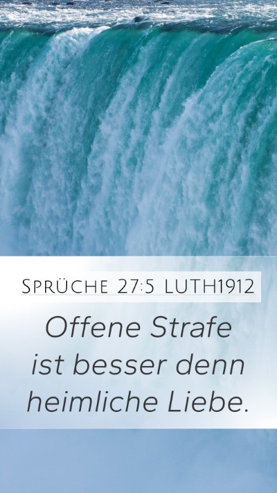Sprüche 27:5 LUTH1912 Bible Verse Image