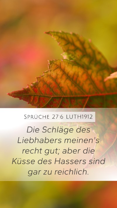 Sprüche 27:6 LUTH1912 Bible Verse Image