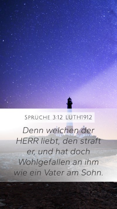 Sprüche 3:12 LUTH1912 Bible Verse Image