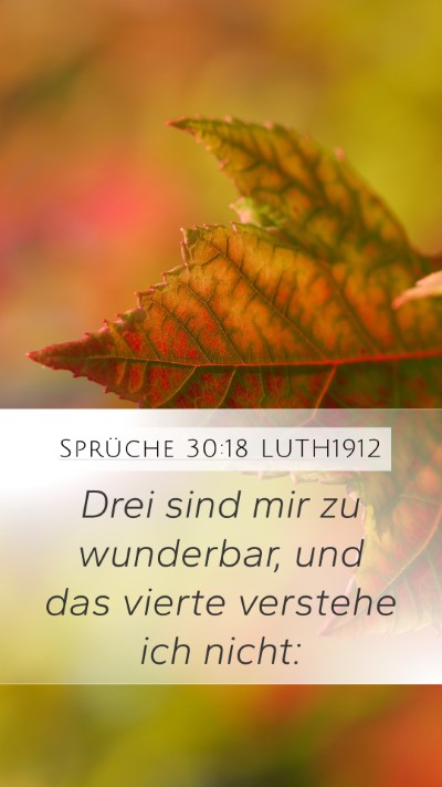 Sprüche 30:18 LUTH1912 Mobile Phone Wallpaper - Drei sind mir zu wunderbar, und das vierte - Mobile Bible Verse Wallpaper