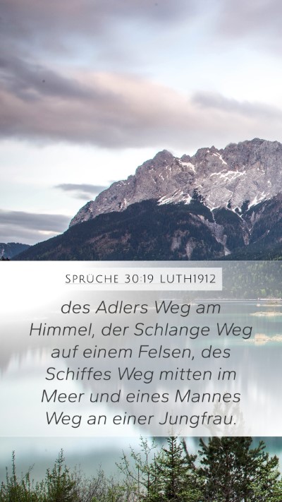Sprüche 30:19 LUTH1912 Mobile Phone Wallpaper - des Adlers Weg am Himmel, der Schlange Weg auf - Mobile Bible Verse Wallpaper