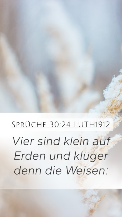 Sprüche 30:24 LUTH1912 Bible Verse Image