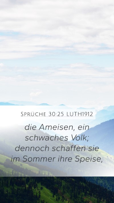 Sprüche 30:25 LUTH1912 Bible Verse Image