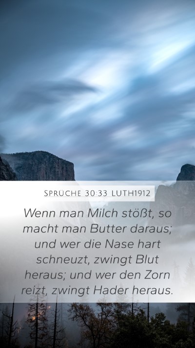 Sprüche 30:33 LUTH1912 Bible Verse Image