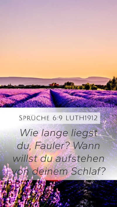 Sprüche 6:9 LUTH1912 Bible Verse Image