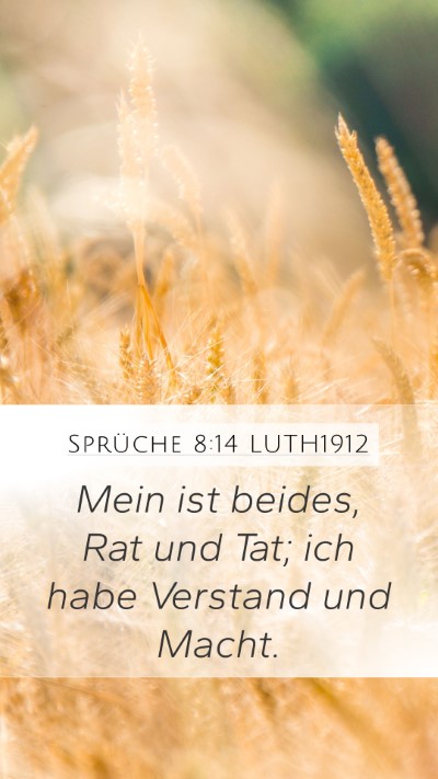Sprüche 8:14 LUTH1912 Bible Verse Image