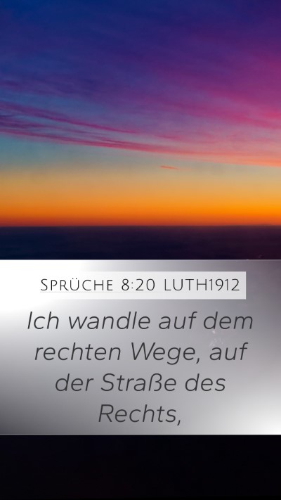 Sprüche 8:20 LUTH1912 Bible Verse Image