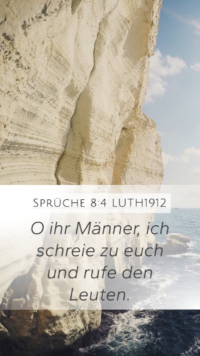 Sprüche 8:4 LUTH1912 Bible Verse Image